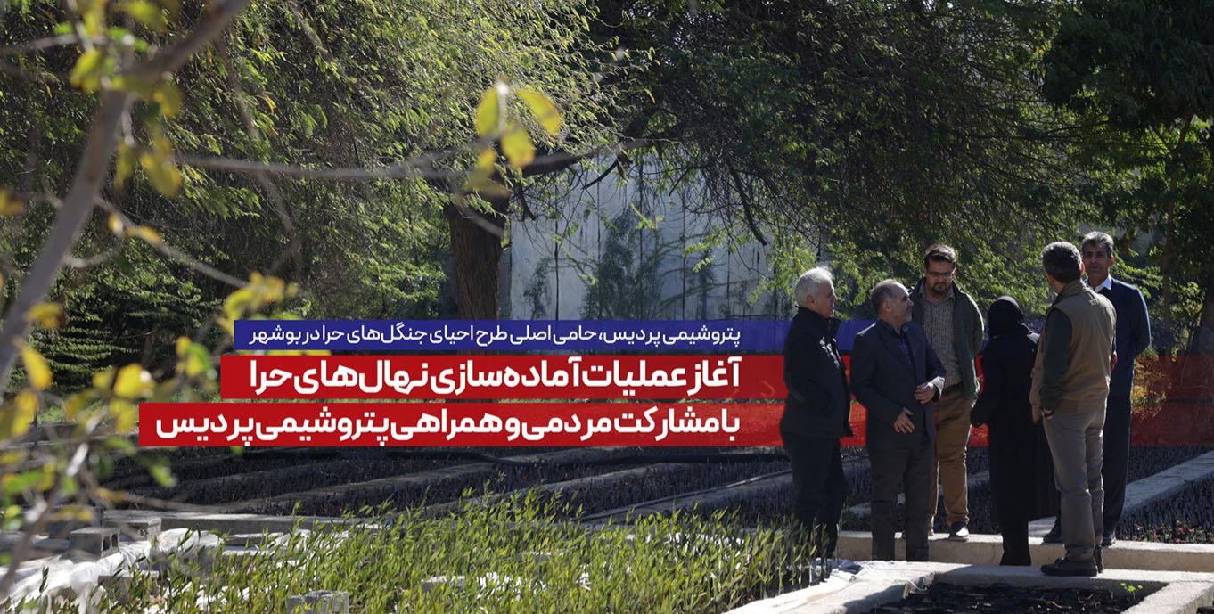 پتروشیمی پردیس در حال حمایت از طرح احیای جنگلهای حرا در سواحل بوشهر